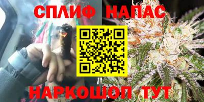 герыч Гагарин