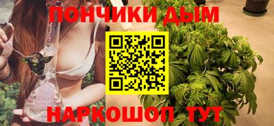 мдпв Гай