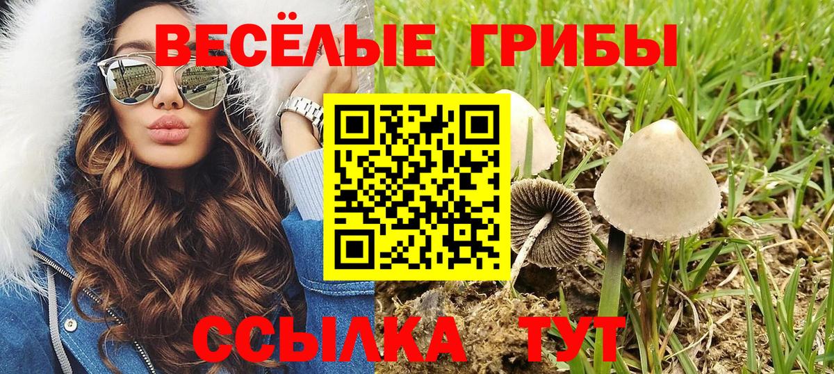 Можайск  Псилоцибиновые грибы мухоморы  Вход с VPN 